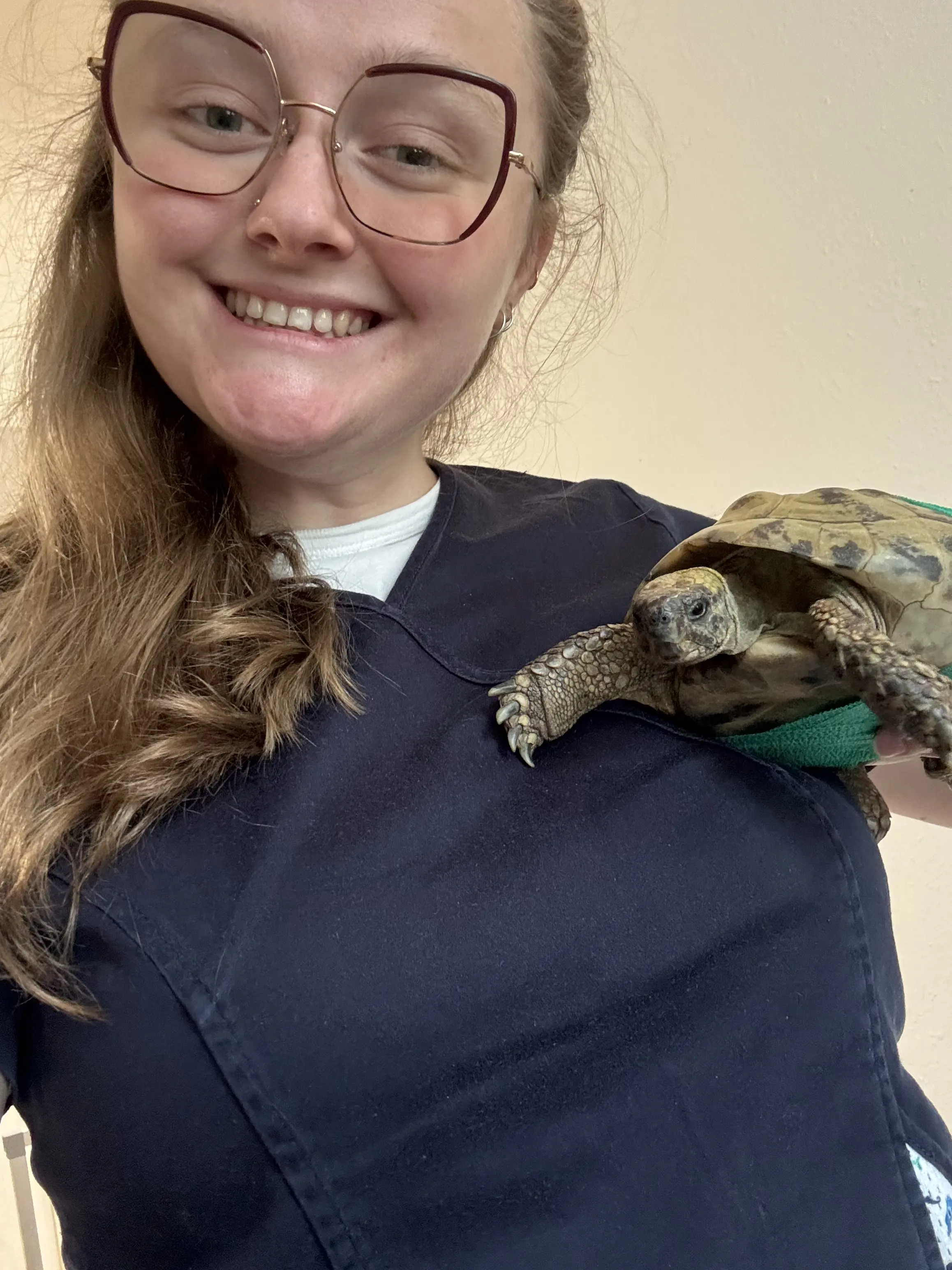 Julia weterynarz z żółwiem